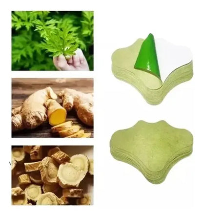 Parches De Ajenjo, Dolor Lumbar / Rodillas+ Regalo