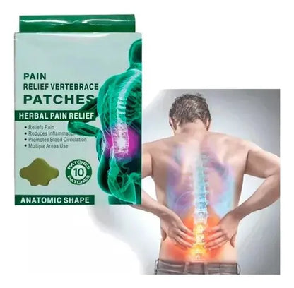 Parches De Ajenjo, Dolor Lumbar / Rodillas+ Regalo