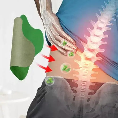 Parches De Ajenjo, Dolor Lumbar / Rodillas+ Regalo