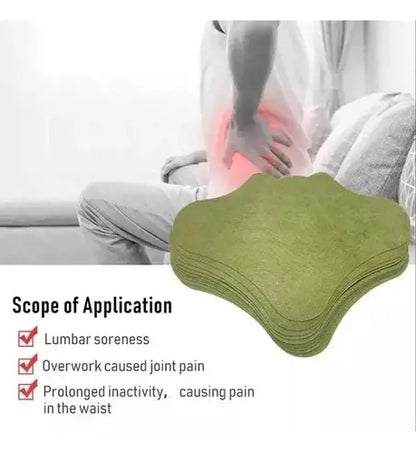 Parches De Ajenjo, Dolor Lumbar / Rodillas+ Regalo